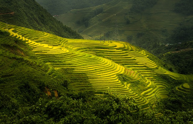 Sa Pa Lào Cai thửa ruộng bậc thang mênh mông